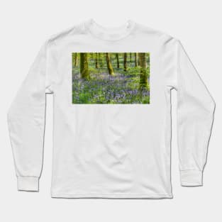 Bluebells in Cally Woods, Gatehouse of Fleet Dumfries Galloway Photo Long Sleeve T-Shirt